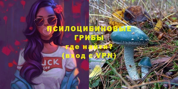 тгк Нязепетровск