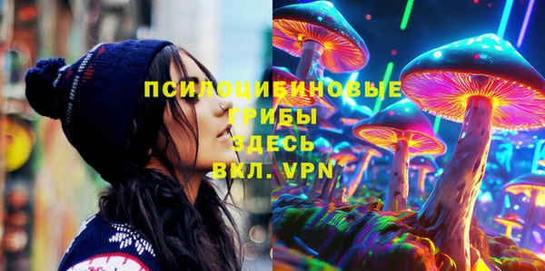 mdma Няндома