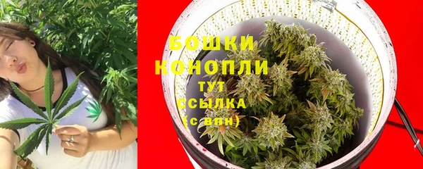 ALPHA PVP Осинники