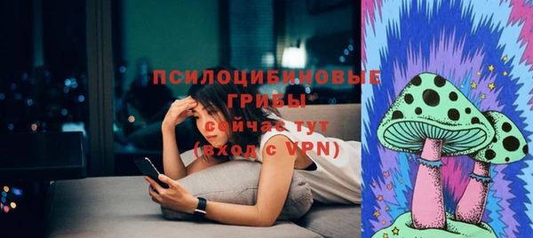 mdma Няндома