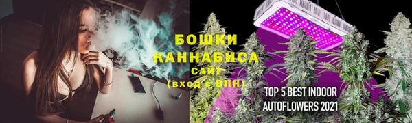 ALPHA PVP Осинники