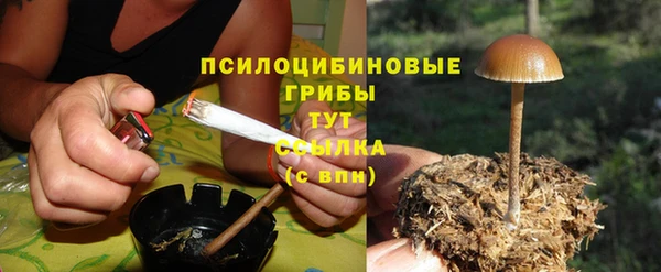 mdma Няндома