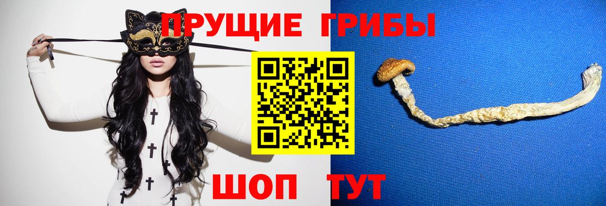 Галлюциногенные грибы ЛСД Усолье-Сибирское