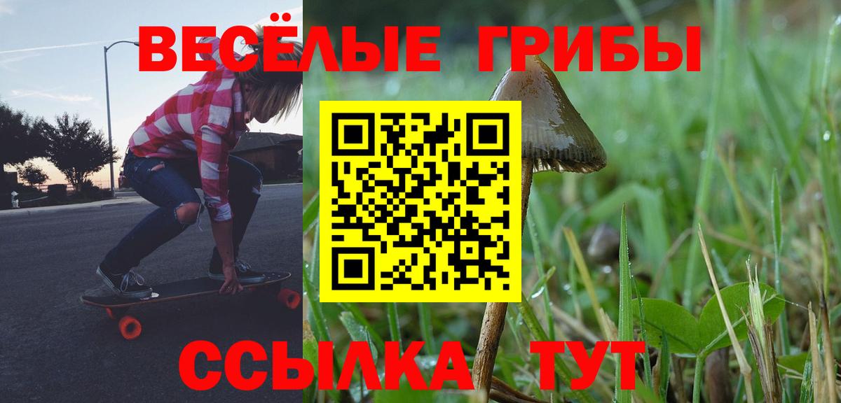 Усолье-Сибирское  Псилоцибиновые грибы Psilocybine cubensis  Вход с VPN  Галлюциногенные грибы MAGIC MUSHROOMS 